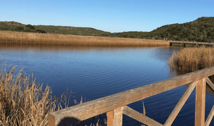 view great ocean road