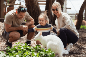 family feeding a white kangaroo at great ocean road wildlife park victoria